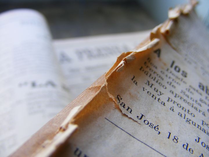 biblioteca 241 copy.jpg